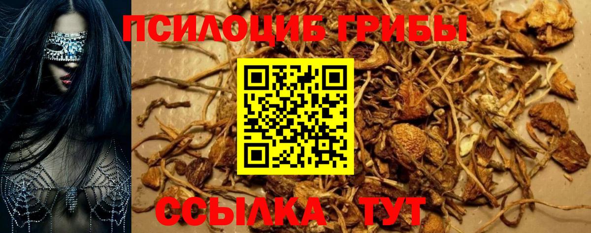 Псилоцибиновые грибы Cubensis Алушта